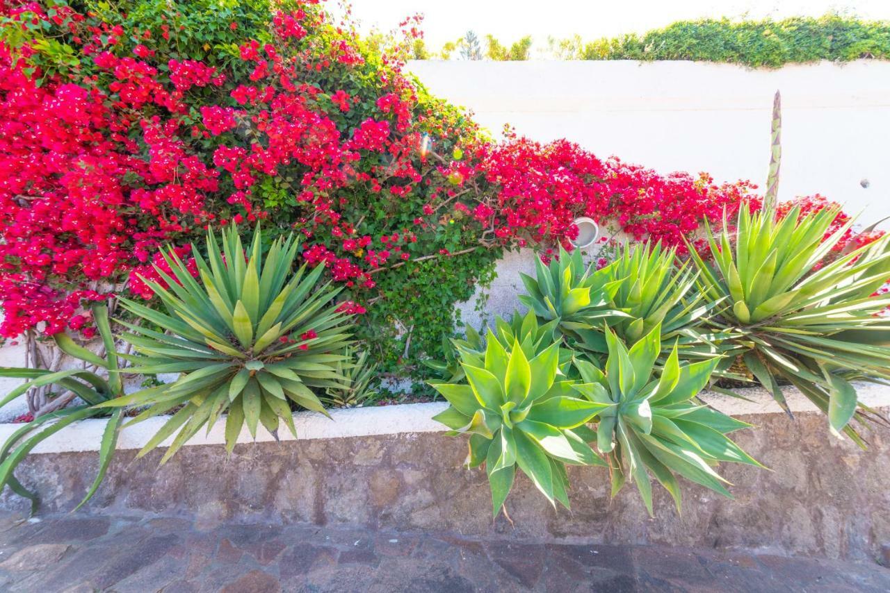 Villa La Gardenia Forio di Ischia Eksteriør billede