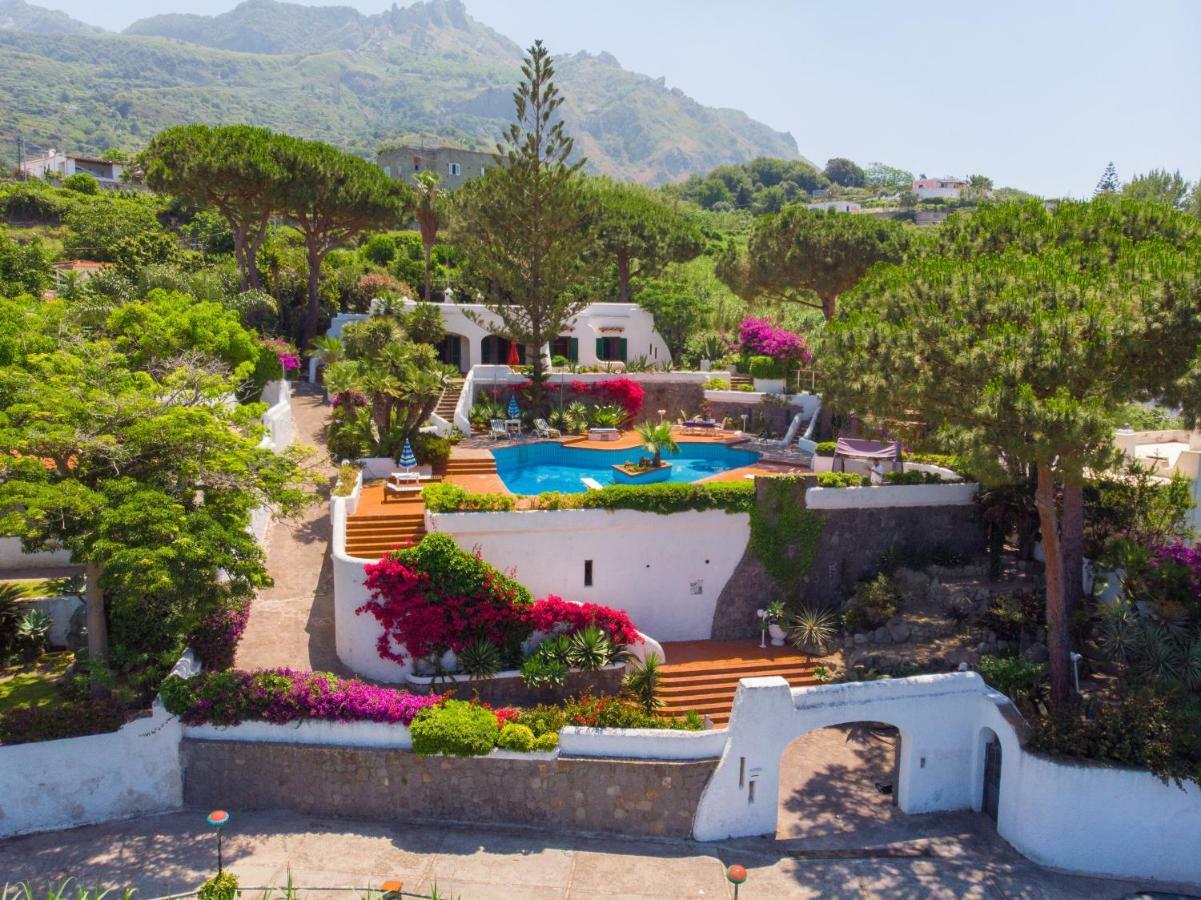 Villa La Gardenia Forio di Ischia Eksteriør billede